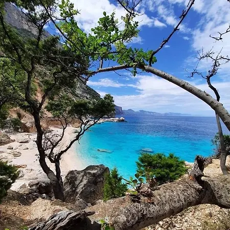 Stella Marina 2 Da Alessandro La Caletta