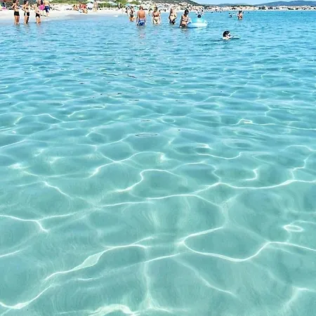 Stella Marina 2 Da Alessandro