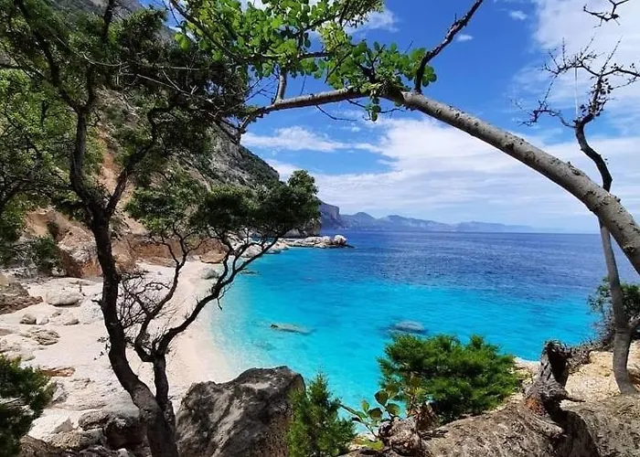 Stella Marina 2 Da Alessandro La Caletta